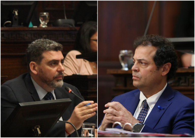 El picante cruce en el Senado entre cornejistas y demarchistas por los pedidos de informe