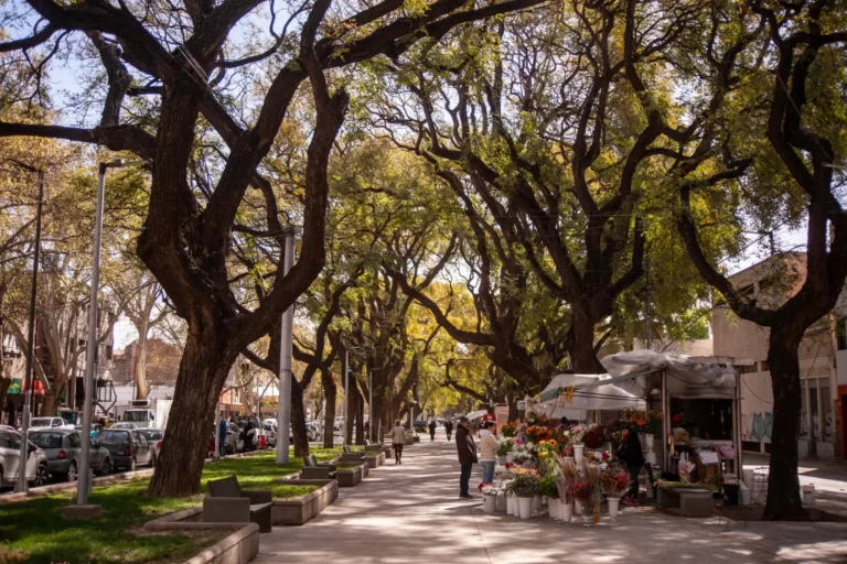 Pronóstico en Mendoza: nubosidad variable y leve descenso de la temperatura