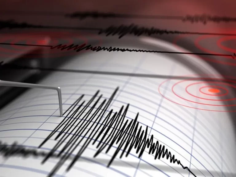 Se sintió un temblor en Mendoza: el movimiento se produjo en Chile