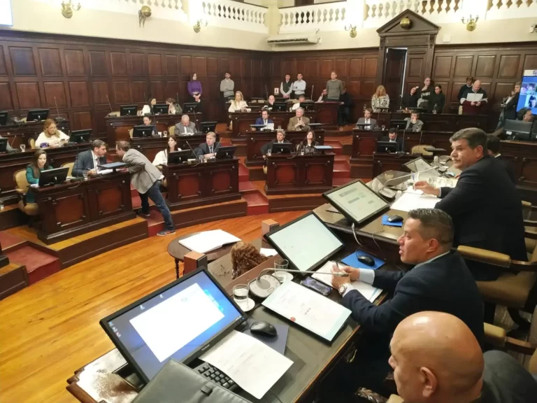 Ítem aula: un show legislativo con fuertes cruces y un final esperado