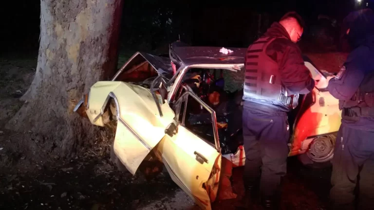 Un accidente en solitario dejó un herido en Luján