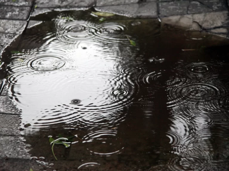 Pronóstico en Mendoza: probabilidad de lluvias y temperatura agradable