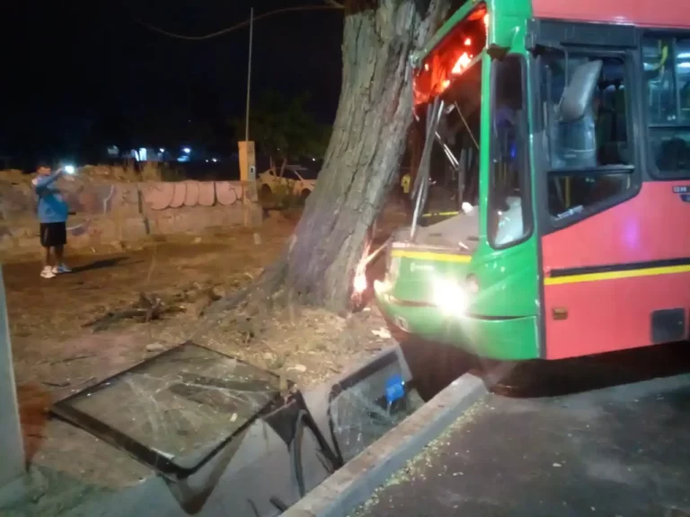 Un micro chocó contra un árbol en pleno Centro