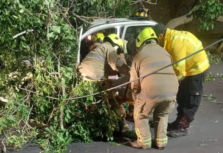 Una rama cayó sobre un auto en Ciudad por el Zonda y la conductora resultó herida