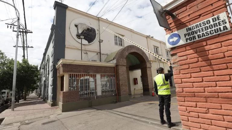 El fiscal Flavio D’Amore imputó a 3 síndicos de la firma Fecovita por balances falsos