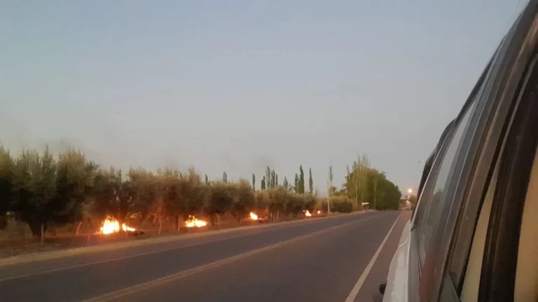 Se registraron heladas en zonas productivas de Mendoza y evaluarán los daños al mediodía