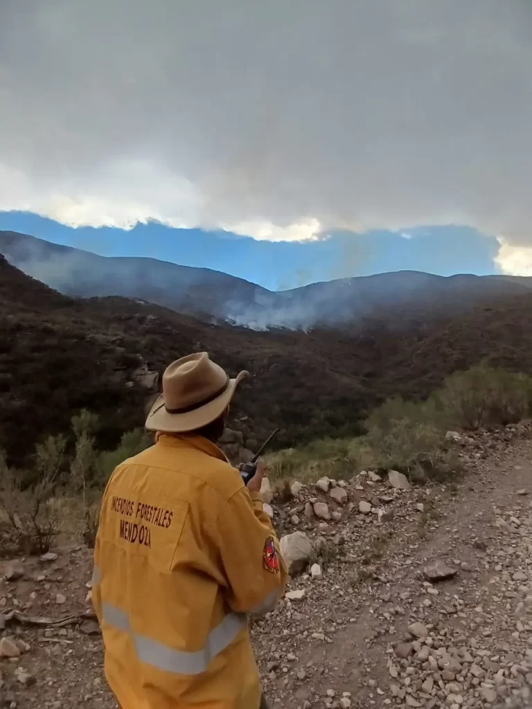 Confirman que el incendio en el pedemonte fue intencional: “El daño ambiental es muy grave”
