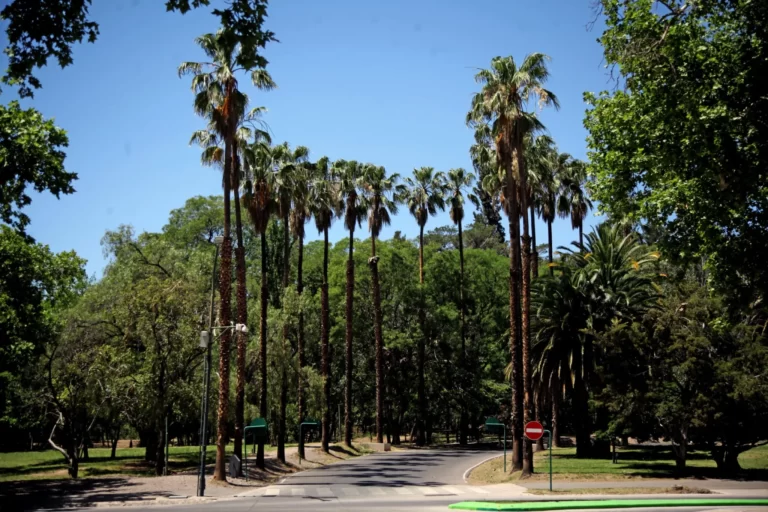 Cómo estará el tiempo en Mendoza después de la tormenta