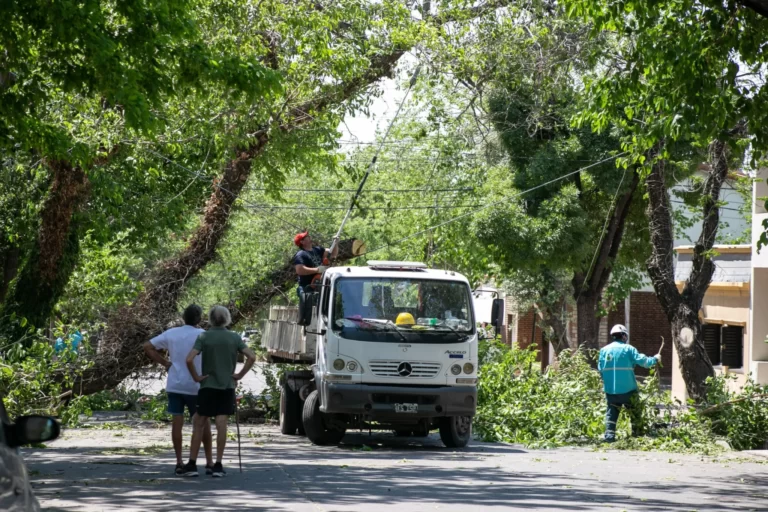 Los daños que dejó la tormenta en cinco departamentos de Mendoza