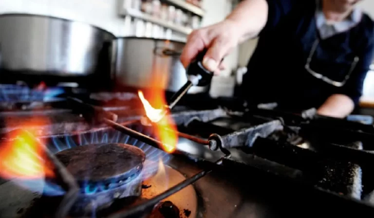 Latorre advirtió que por la quita de subsidios peligra la ley de zona fría y el gas podría subir un 50%