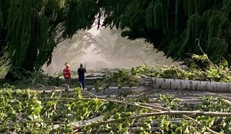 Jueves infernal en Mendoza: calor extremo, Zonda y tormentas con posible caída de granizo