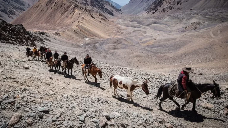 Productores de Tunuyán entraron en alerta por síntomas de enfermedades infecciosas en caballos