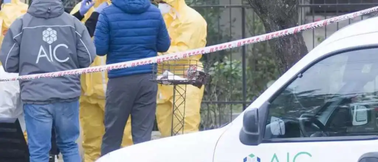 Unos 17 perros comieron el cadáver de un hombre en una casa de Guaymallén