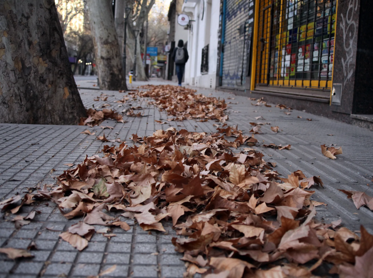 El tiempo en Mendoza: doble alerta por Zonda y tormentas en un lunes caluroso