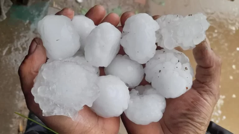 La Vicegobernadora recorrió las zonas afectadas por la feroz tormenta granicera en San Rafael.