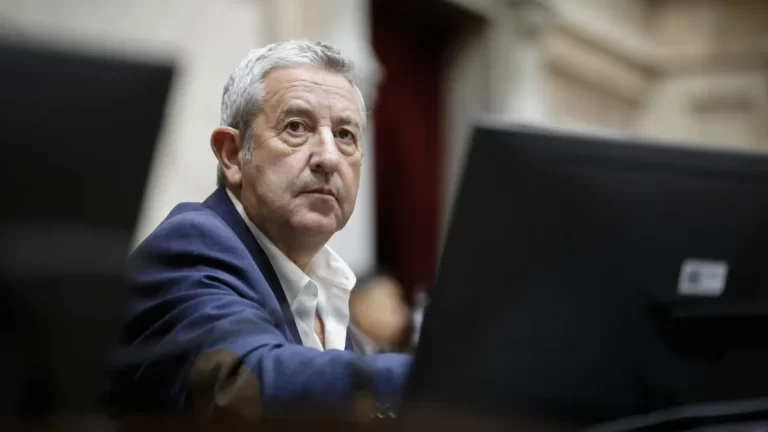 Cobos cuestionó con un gráfico el inédito plazo y las facultades que pide Milei en la Ley Ómnibus