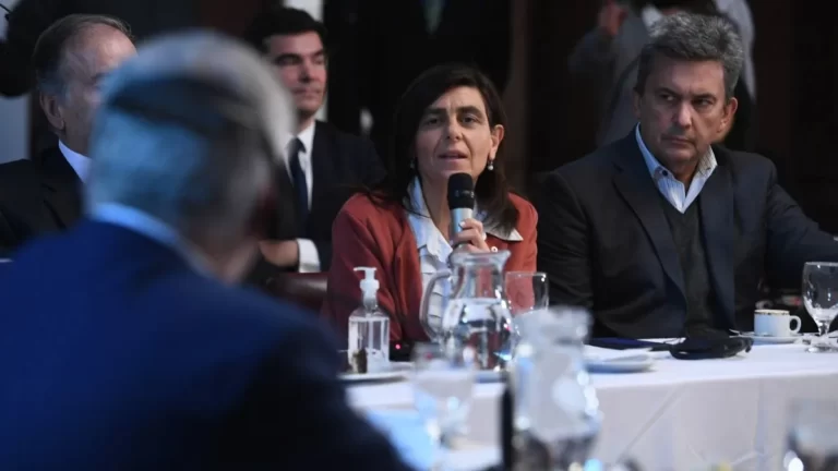 Con la mendocina Mariana Juri, el Senado discute en comisiones la Boleta Única para todo el país