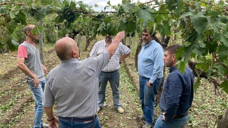 Tras los eventos climáticos extremos, se decretará la emergencia agropecuaria