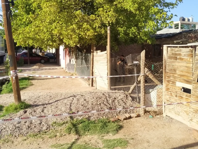 Asesinaron a una joven embarazada en Las Heras: quisieron salvar a la criatura pero no pudieron