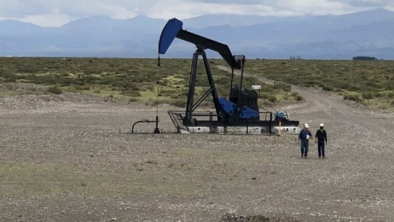  Las áreas petroleras que YPF descarta y buscan reactivar en Mendoza