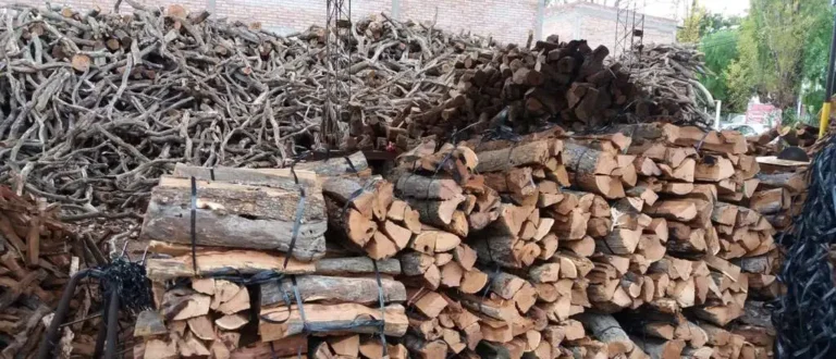 El Ministerio de Seguridad comprará 500.000 kilos de leña