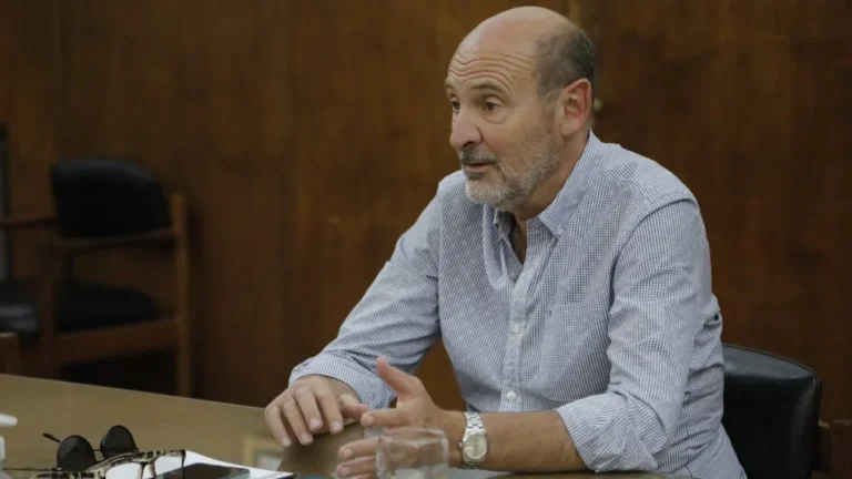 Vargas Arizu confirmó la intervención del Estado en la compra de uva para mosto a $230 el kilo