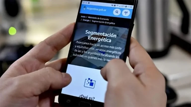 Proponen la eliminación de subsidios a quienes compraron dólares, viajaron al exterior o tengan prepaga