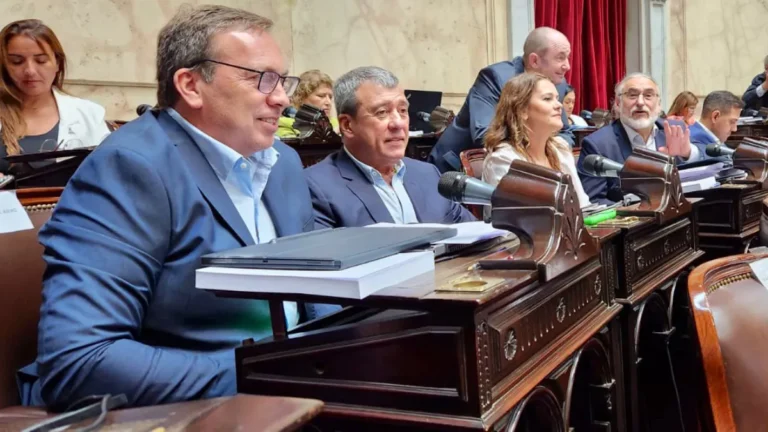 Diputados nacionales mendocinos de Unión por la Patria votarán en contra del DNU