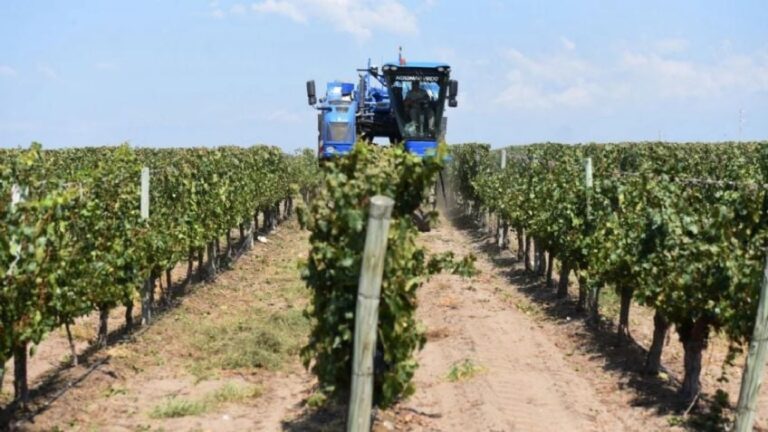 Créditos para pymes: cuál es la oferta, cuáles son las tasas y las perspectivas