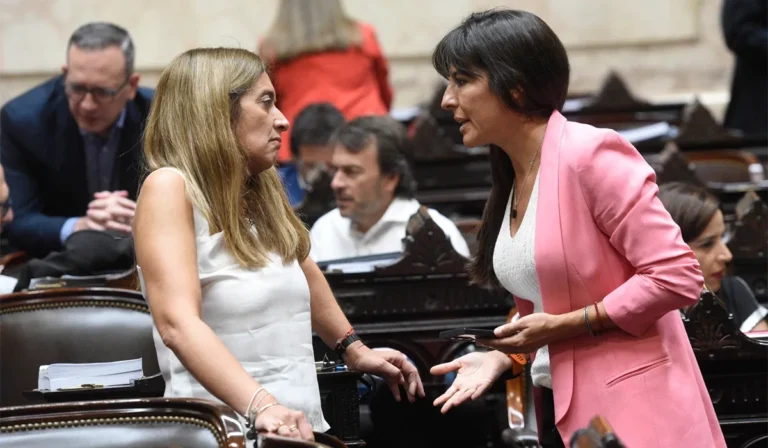 Verasay interpeló a Milei a horas del discurso en el Congreso: “Que presente su plan de gobierno”