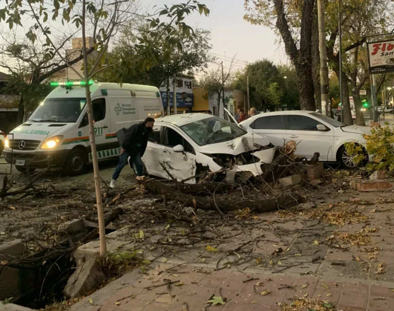 Un árbol se desplomó sobre un auto tras un fuerte choque en Ciudad