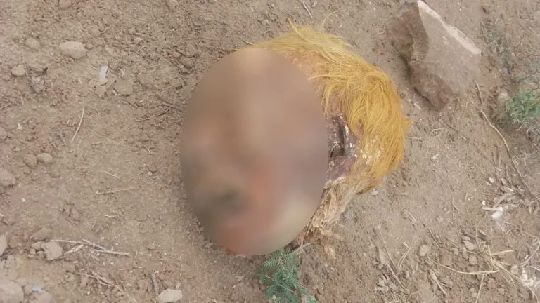 Aún no logran identificar de quién es la cabeza encontrada en el basural en Las Heras