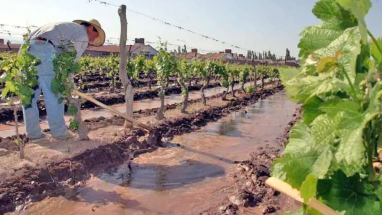 Los empleados de viñas y bodegas lograron un aumento salarial del 110%