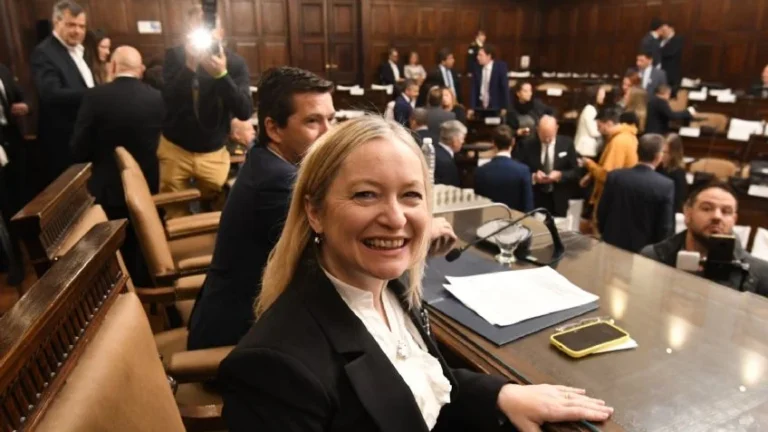 La motosierra de Hebe Casado y los nombramientos en el Senado