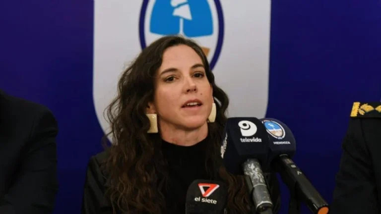 Bicameral de Seguridad: esta semana ponen fecha para que empiece a trabajar