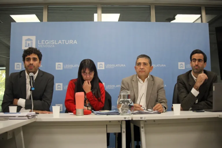 Los dos proyectos claves que buscará aprobar el Gobierno en el Senado