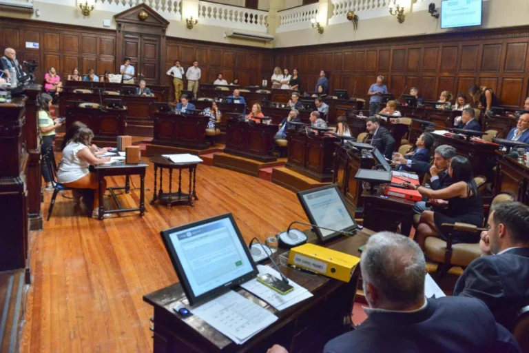 Supermartes en la Legislatura: el Senado vota dos proyectos claves para Alfredo Cornejo