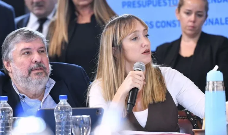 Anabel Fernández Sagasti consideró escandalosa a la Ley Bases y trabajará para que no salga