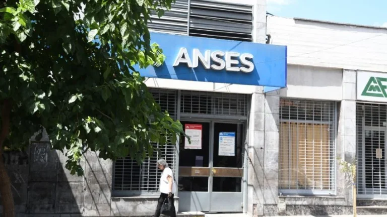 El emplazamiento contra Anses que hace peligrar la atención en la sede central