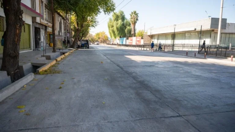 Una importante calle de la Ciudad de Mendoza tendrá “temporalmente” doble sentido de circulación