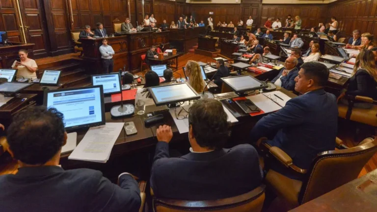 El Senado de Mendoza aprobó los cambios en la coparticipación con la oposición dividida