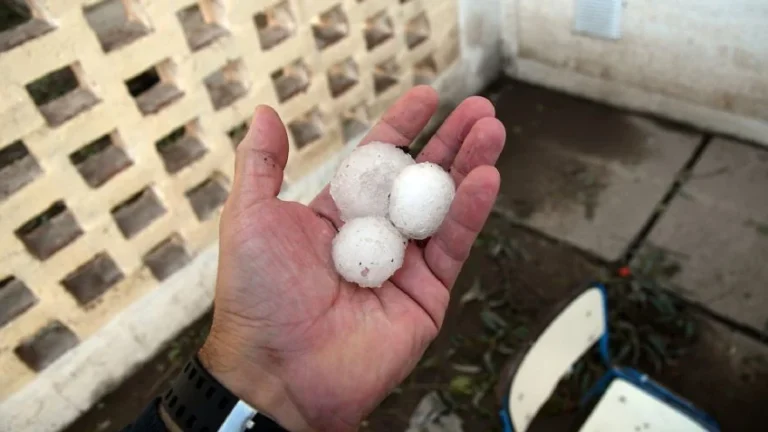 El Gobierno se plantó ante los reclamos de APLA y confirmó el despido de los pilotos