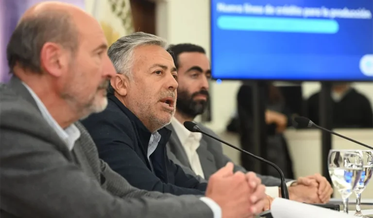 El ministro de Producción brindó el detalle de la letra chica de los créditos para malla antigranizo