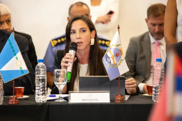 Mercedes Rus destacó que este año ya se recuperaron 26 toneladas de cables robados en Mendoza