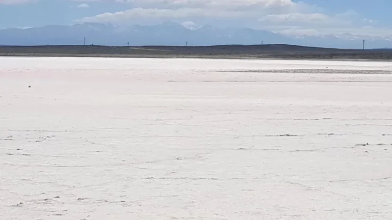 Shantal adelantó que la exploración de litio en las Salinas del Diamante comenzará este año