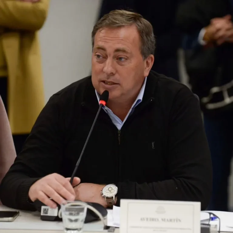 Martín Aveiro explicó por qué los diputados del PJ mendocino no firmaron el proyecto K