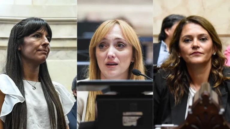 Denuncia contra Alberto Fernández: legisladoras mendocinas respaldaron a Fabiola Yañez