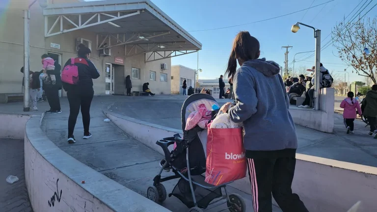 Rodolfo Montero detalló que se recaudaron $5 millones en un mes por la atención a extranjeros en hospitales