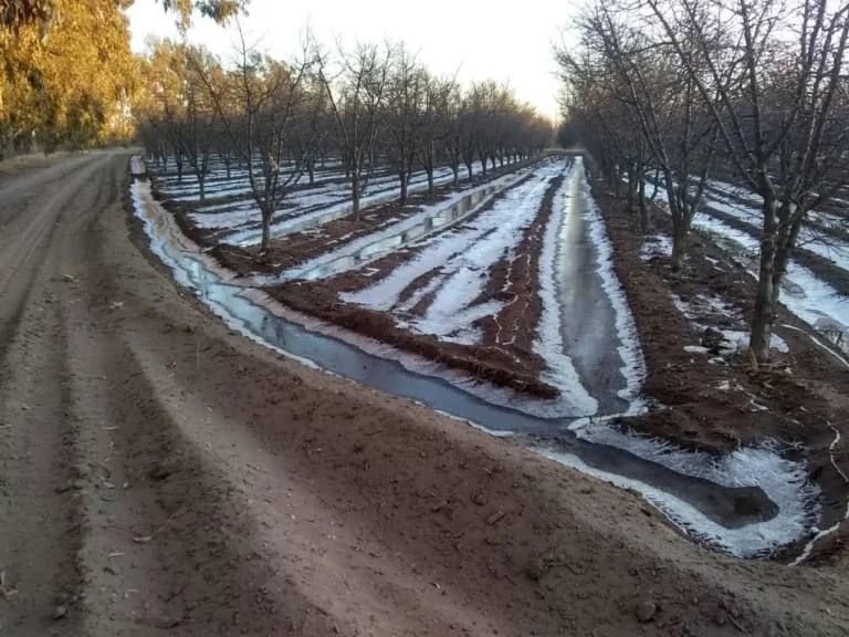 El tiempo en Mendoza: jueves agradable, pero hay un alerta para el campo