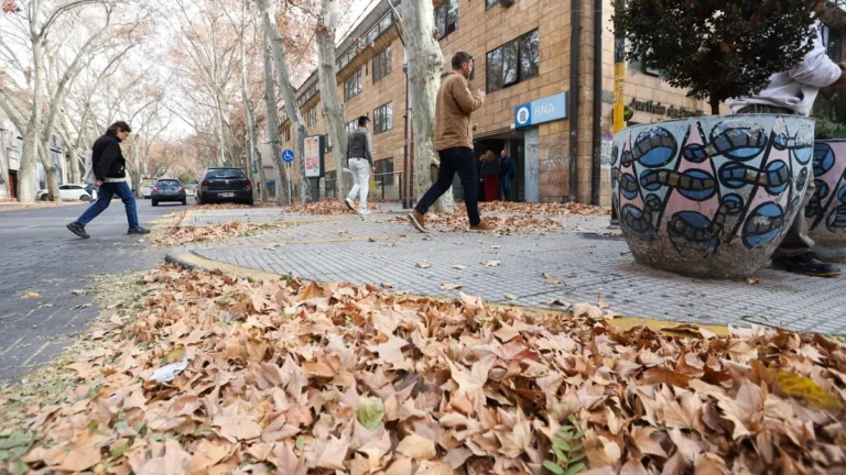 Pronóstico del tiempo en Mendoza: se espera la llegada de viento Zonda con ascenso de temperatura